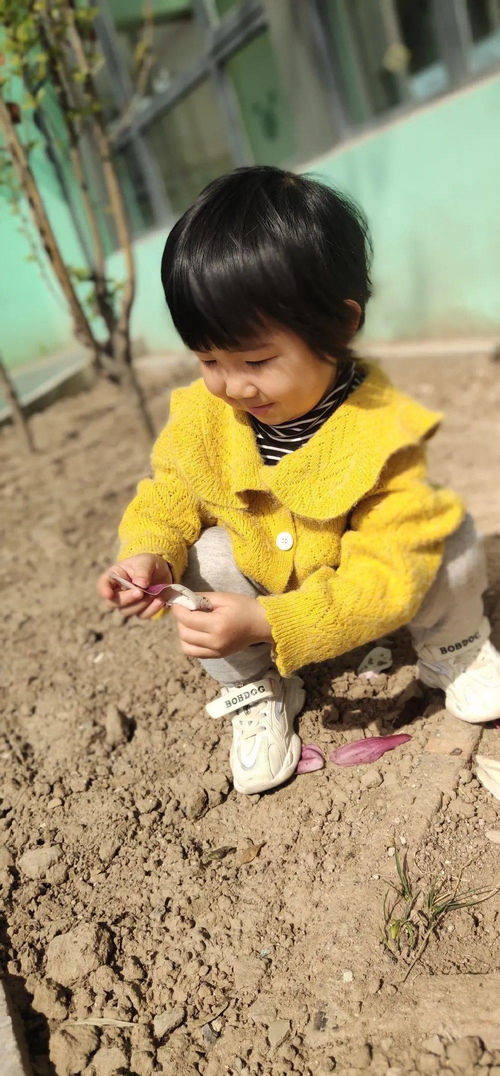 張家灣中心幼兒園 張幼處處好春景