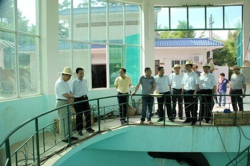 南寧南風廠幼兒園