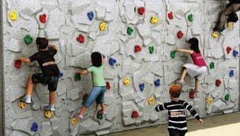 寧波市幼兒園 小學(xué)生秋游產(chǎn)品合集 已更新