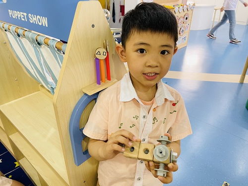 廬陽(yáng)實(shí)驗(yàn)幼兒園教育集團(tuán)四里河畔園 自主游戲 綻放童真